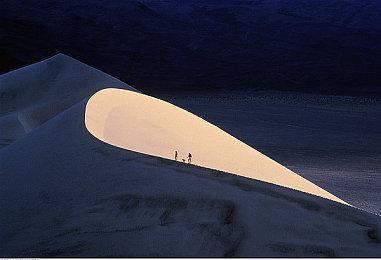 塔防新游《Soul Dog TD》上架steam 与狗狗一起守护世界